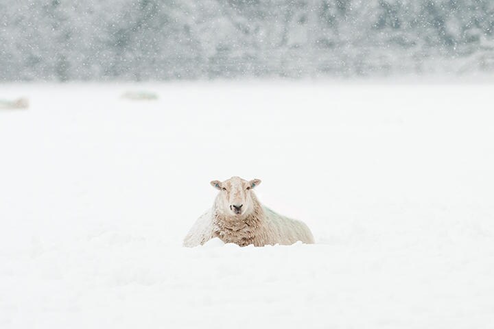 （写真はイメージです）　Groomee-iStock