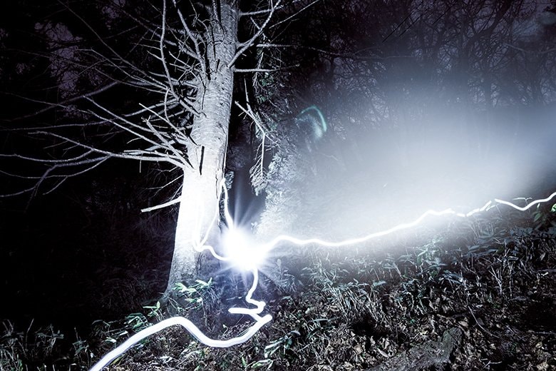 【見えない隣人】  森の縁に設置したトレイルカメラには、ヒグマの日常が記録されていた。人間の生活圏と重なり合う移動も森の中の行動と同様、彼らの営みの一部である。人間が森に入った痕跡にも彼らはすぐに反応し、街の様子をうかがう姿も写っているが、その行動の多くは人間側からは把握されにくい