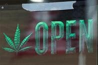 ＮＹの新興大麻ビジネス、アメリカ特有の連邦法と州法の違いで大混乱