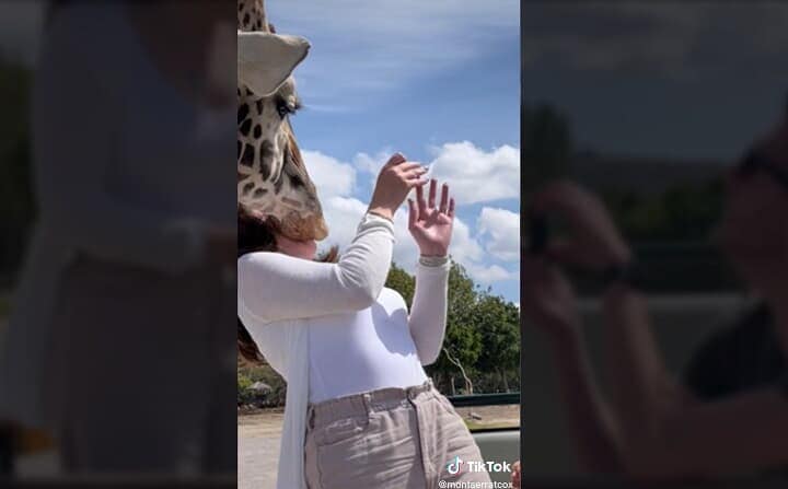 @montserratcox/TikTok