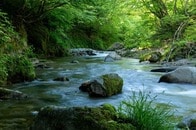 熊本、東京、千葉...で相次ぐ懸念 「土地の買収＝水の支配」の日本で起こっていること