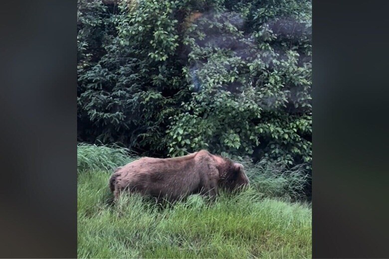 @kara_cleanwithme/TikTok