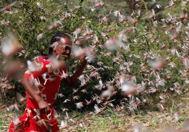 ケニアでは過去70年間、エチオピアやソマリアでは過去25年間で最悪の状況　Giulia Paravicini-REUTERS