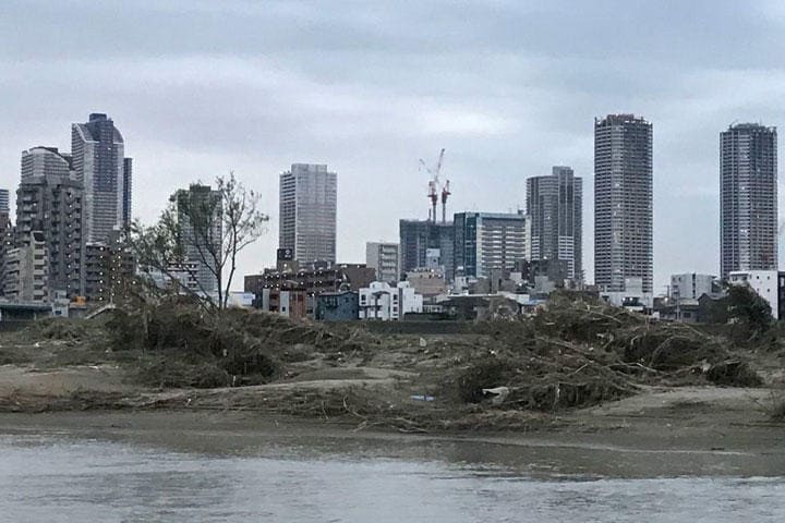 東京側から多摩川を挟んで武蔵小杉を臨むと、河川敷には大量の流木が流れ着いていた（10月16日16時台、撮影：東洋経済オンライン編集部）