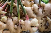 そのメタボ、「ガリ」が解消します！？　