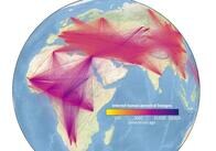 人類のすべての祖先をたどる単一の巨大な系図を構築することに成功