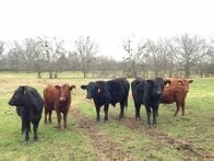 米国の食肉表示は「違反」とＷＴＯが判断、貿易戦争に発展か