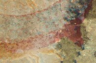 【写真】なぜ？ 先住民の壁画に「人類誕生前に絶滅したはずの古代生物」の姿が...大学研究チームが謎に挑む