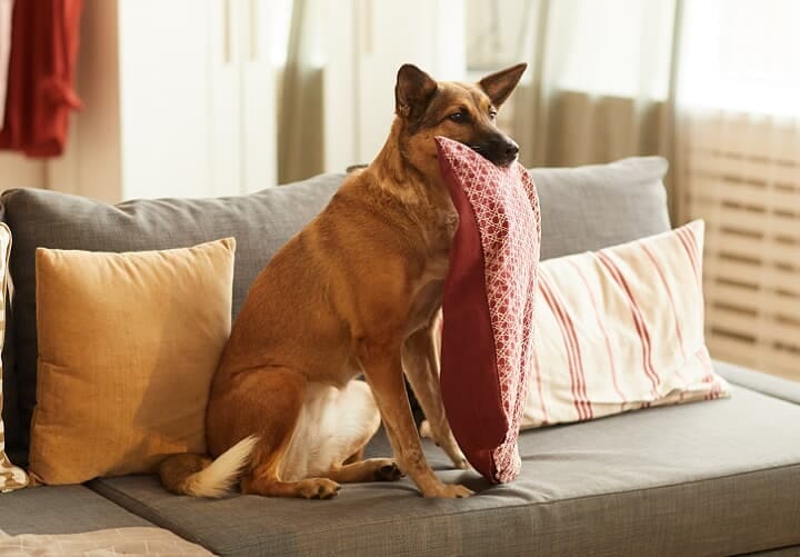 （写真はイメージです）　AnnaStills-iStock