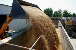 世界食料価格、9月は約4年ぶり高水準　物流混乱や悪天候響く＝ＦＡＯ
