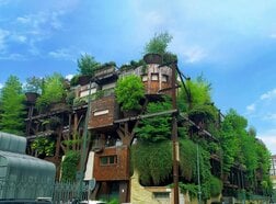 自宅近くに「緑」が多い人は認知症リスクが20％低い　新研究