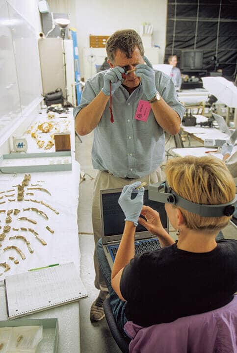 ケネウィック人の骨を調べる