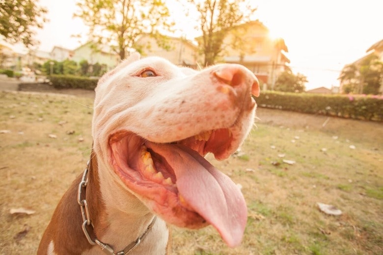 （写真はイメージです）　naito8-iStock