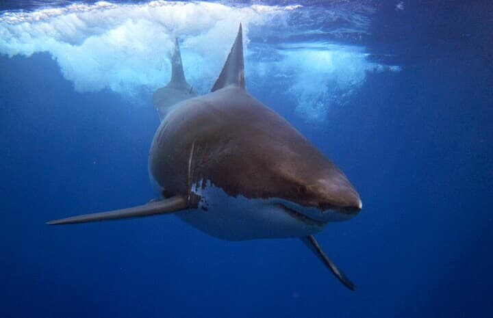 （写真はイメージです）　Connah-iStock