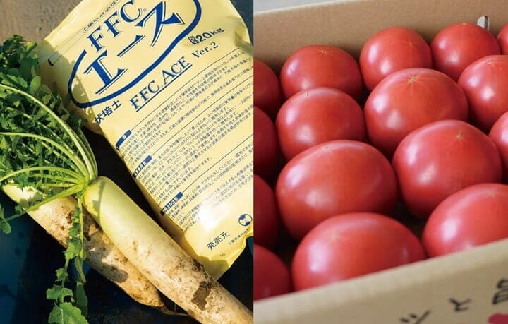 土壌改質活性培土「FFCエース」で作られた野菜