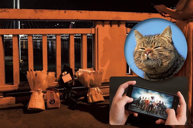 ゲーム請負で「太った猫」のハンドルネームを持つ劉の自殺現場にはデリバリーでお供えが　DYL0807/SHUTTERSTOCK, RODEN WILMAR/SHUTTERSTOCK (CAT), ORIENTAL IMAGEｰREUTERS (GAME)