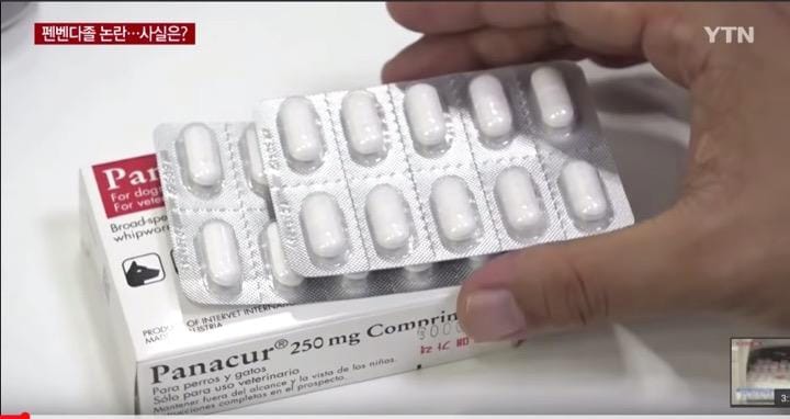 韓国でがんが治ると話題になっている犬用虫下し薬　YTN / YouTube