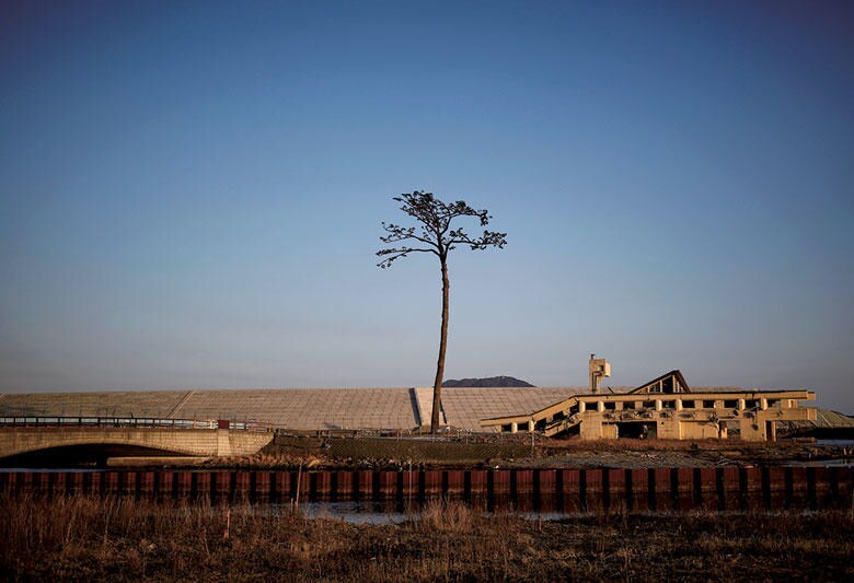 東日本大震災の大津波にも流されなかった「奇跡の一本松」　KIM KYUNG HOON-REUTERS