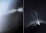 【写真特集】霊峰・富士が映し出すニッポンの姿