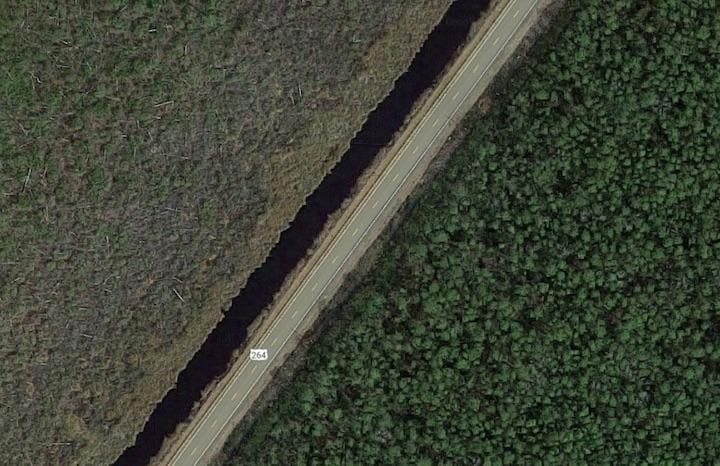 米国の大西洋沿岸で森林が枯死する「ゴーストフォレスト」急速に広がっている......  Google Earth -Emily Ury