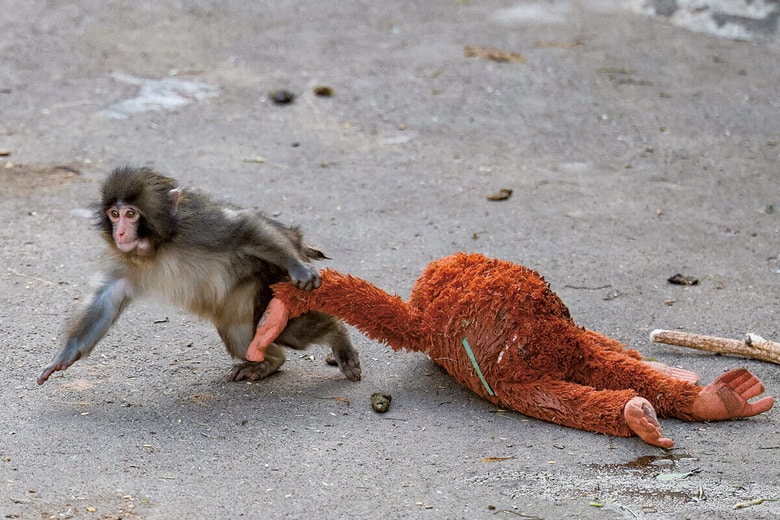 KIM KYUNG-HOONｰREUTERS