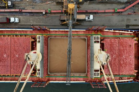 　１１月１８日　複数のトレーダーによると、中国は１７日、少なくとも１４カーゴ分（８４万トン）の米国産大豆を購入した。写真は１月３１日、ブラジルのサンパウロ州サントスの港で撮影（２０２５年　ロイター／Roosevelt Cassio）