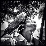 「動物が重要な役割を担う」フランス人写真家を魅惑した東南アジアの日常