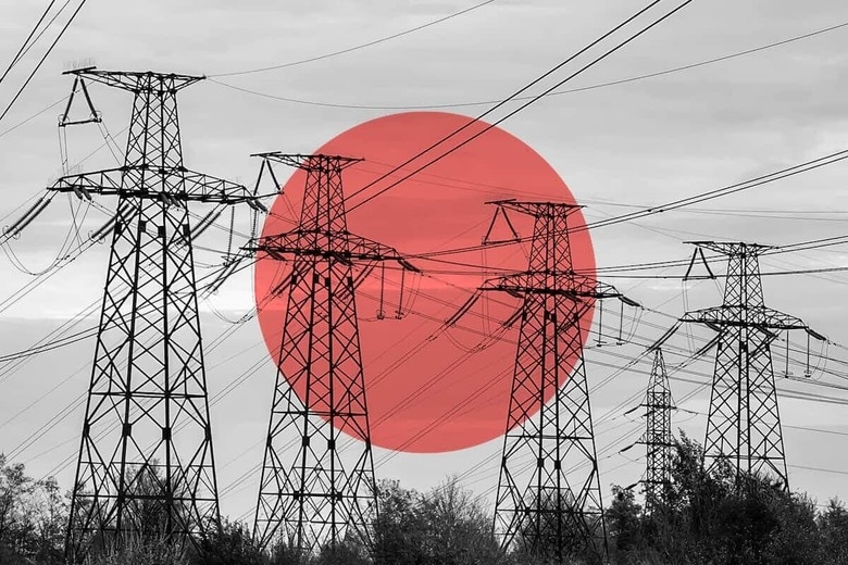 写真はイメージです　Oleksiichik-shutterstock