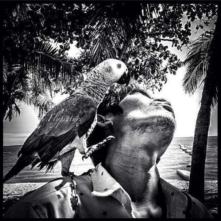 From Florian Gautier <a href=\"https://www.instagram.com/p/Be-rOj8jfmd/\"target=\"_blank\"><u>@flypicture0</u></a>