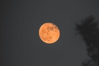 フラワームーン、みずがめ座η流星群、数々の惑星...2025年5月の天体イベント