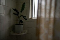 ドアの隙間から見えた2つの目...トイレの女性を覗く「常習犯」の正体に爆笑