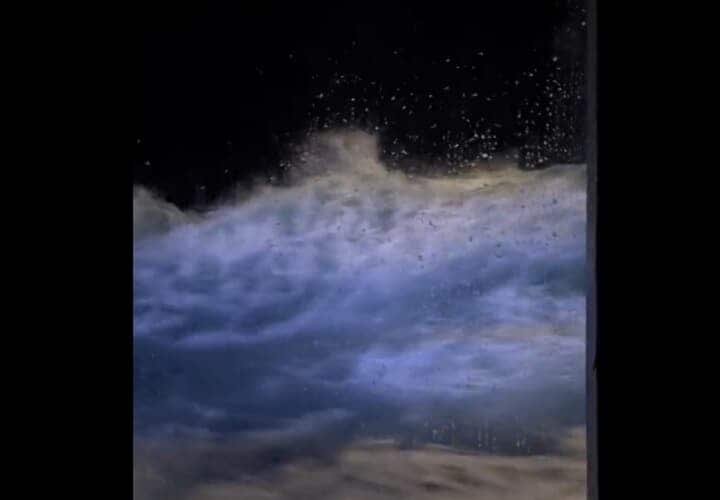 @WowTerrifying/Twitter