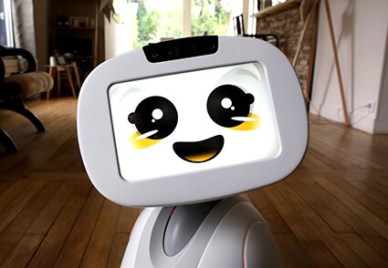 　仏ブルー・フロッグ・ロボティクス社のロボット