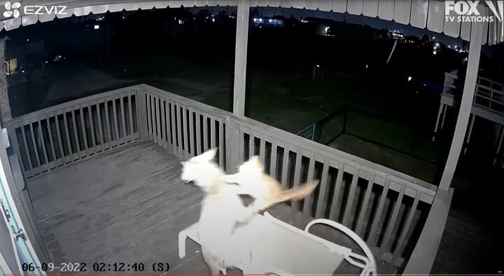 FOX 11 Los Angeles-YouTube