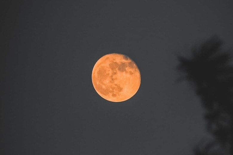 5月の夜空を見上げよう──フラワームーン、流星群、惑星が織りなす宇宙のドラマ（画像はイメージです）　Kashif Afridi-Unsplash
