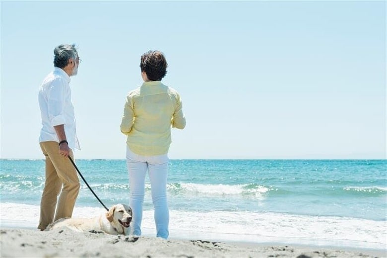 FOUR.STOCK -shutterstock-