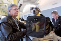 ペットは飛行機の乗客？　機内と機外で激論が