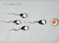 クリエイティブな仕事をするのに素質は要らない