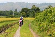 子どもを育てるのは都会か、田舎か？