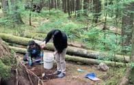 差別から逃れるように暮らしていた？　戦前の日系人集落跡、カナダの森林で発見