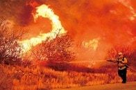 ポルトガルの事例が示した、80年後の世界の山火事と環境破壊の教訓とは？