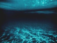 【動画】暗闇に浮かぶ「赤い目」とスケスケの身体...撮影までに100年かかった「世界最大のイカ」の驚くべき姿とは？