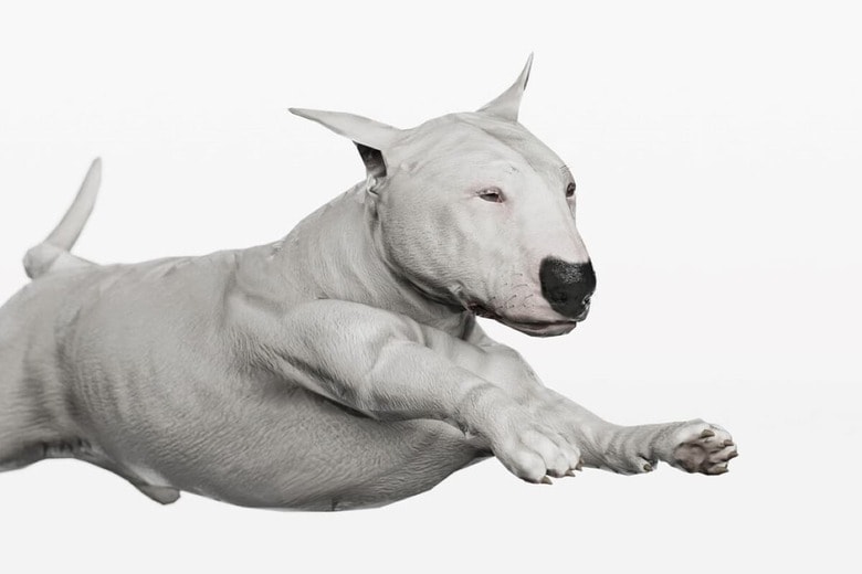（写真はイメージです）　bbevren-iStock