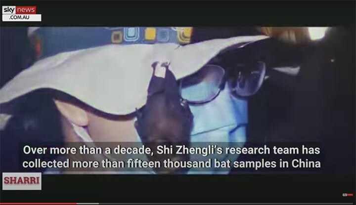 武漢研究所はコウモリをケージに入れて飼っていた　Sky News Australia -YouTube