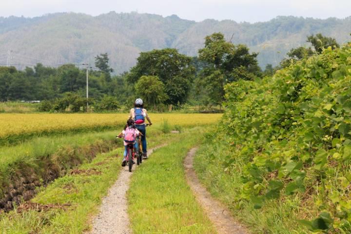 写真はイメージ　nikoniko_happy-iStock