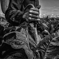 住み家もシャワーもなく、18時間労働で日給11ドルの苦境