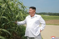 「もうダメだ。死ぬしかない」猛暑被害に北朝鮮国内から悲鳴