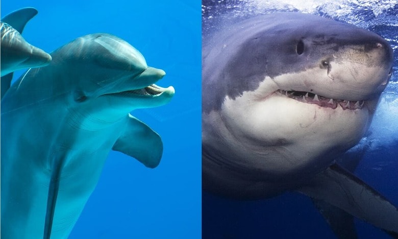 （写真はイメージです）　FROM LEFT:M-Production-iStock, cdascher-iStock