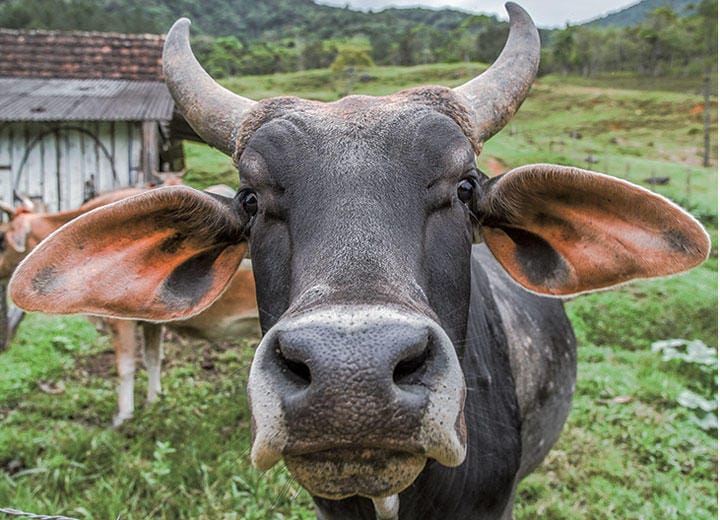 MARCOS MARTINEZ SANCHEZ-ISTOCK