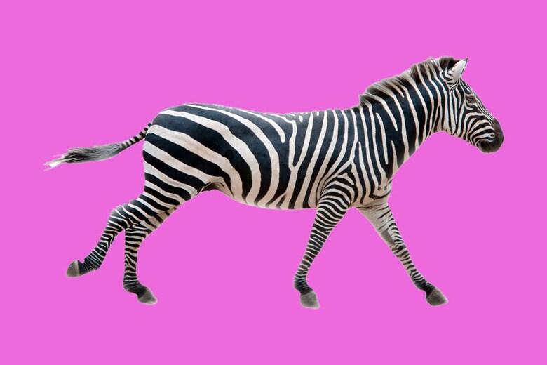 （写真はイメージです）　caizier-shutterstock